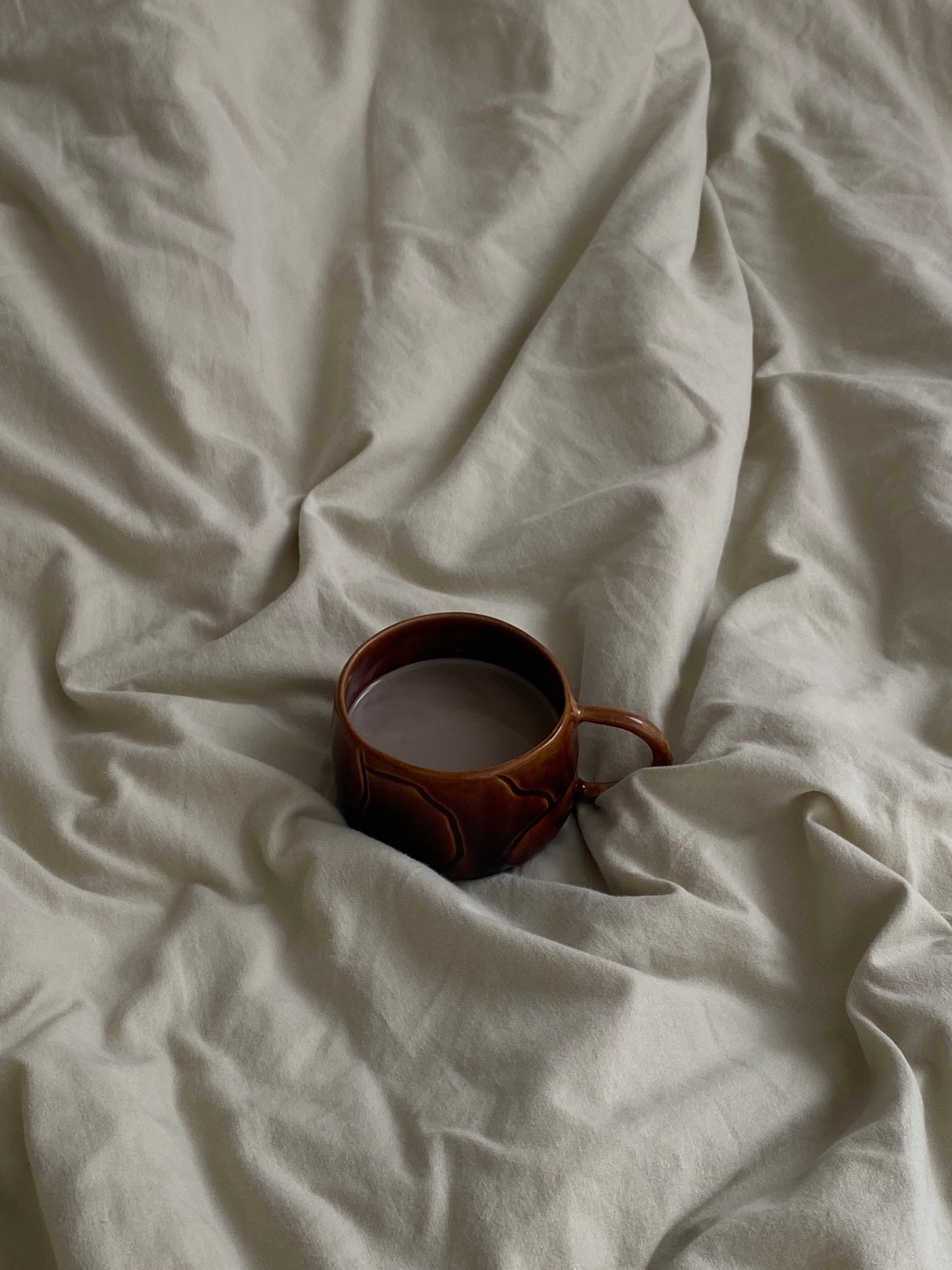 Chawan Noisette